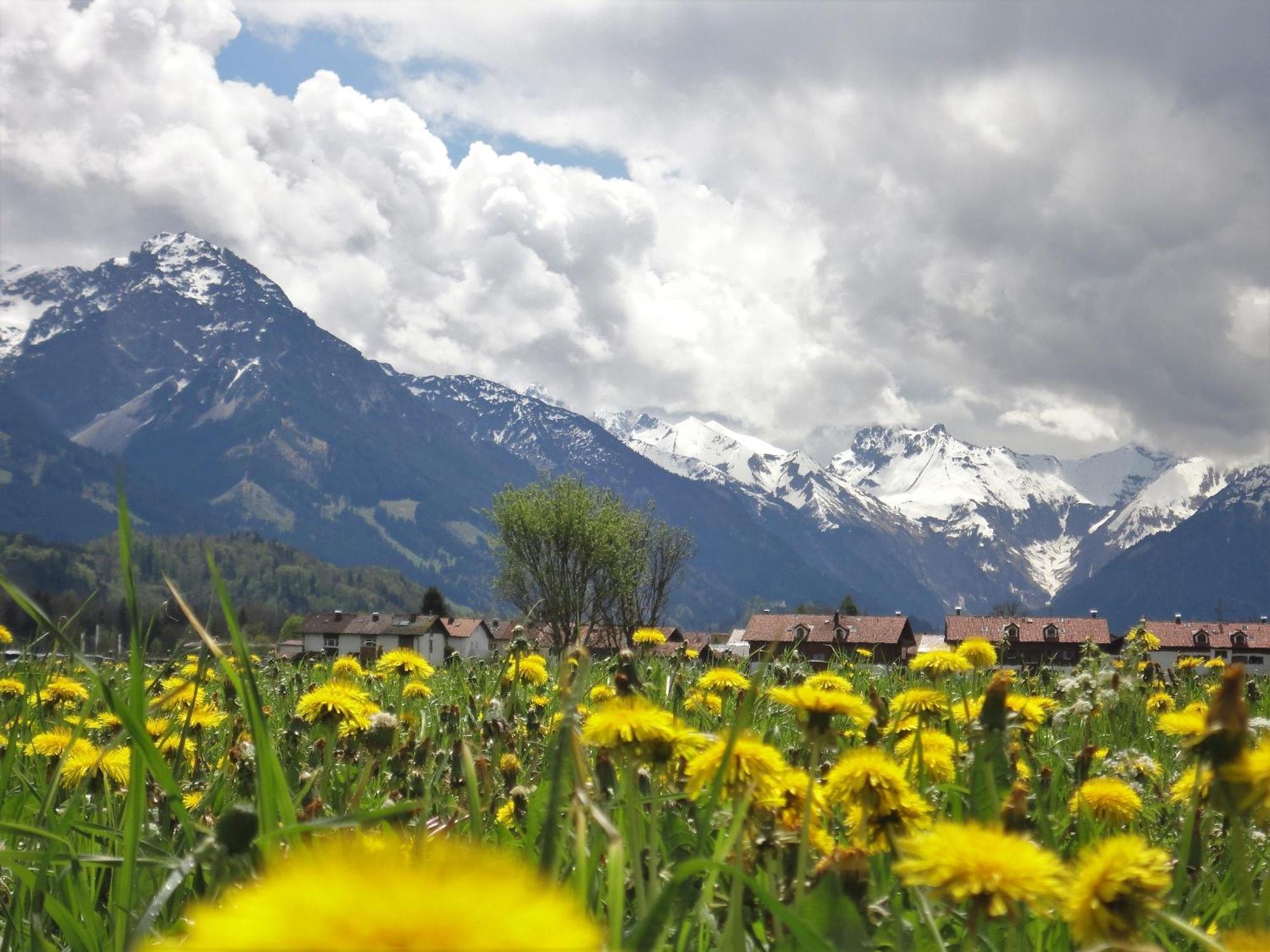 Ferienwohnung Caprano Sonthofen Buitenkant foto